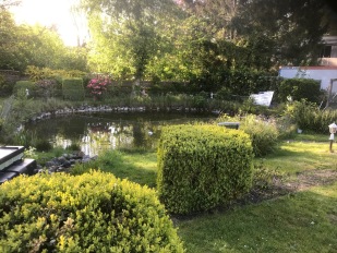 Gästehaus mit Garten Hotel Hohenzollern